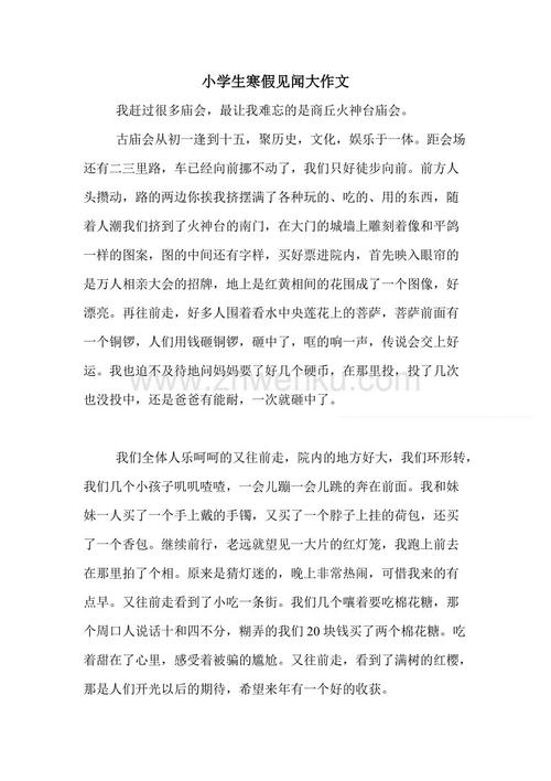 初中寒假600字