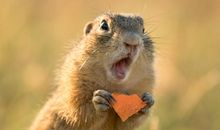 上司对你的真正期望是什么