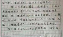 十年后的家乡三年级作文