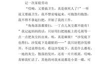 记一次家务劳动作文