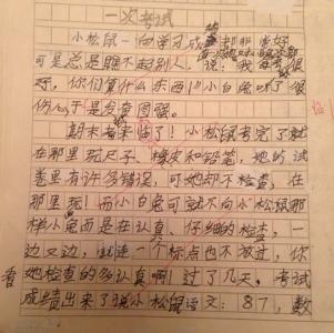 我的故事作文