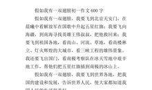 假如我有一双翅膀作文600字