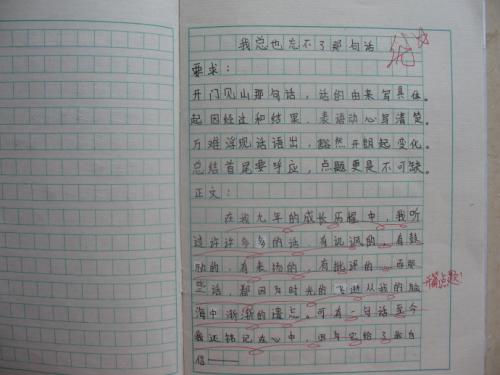 朋友的爱情作文