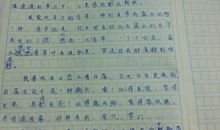 假如我有一匹马500字作文