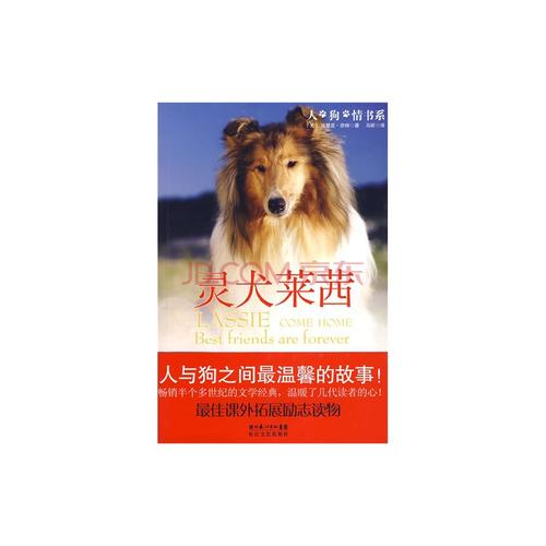 看完灵狗莱西