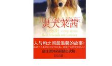 灵犬莱西读后感