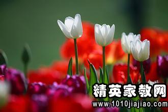谢谢你看花