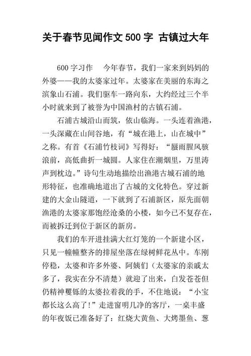 新年作文500字