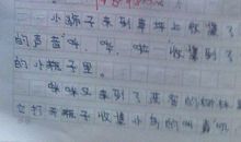 与名人对话作文