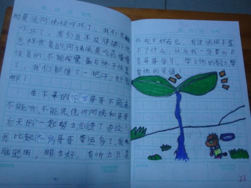 环保三级成分