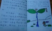 三年级作文保护环境