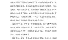 快乐的暑假作文800字