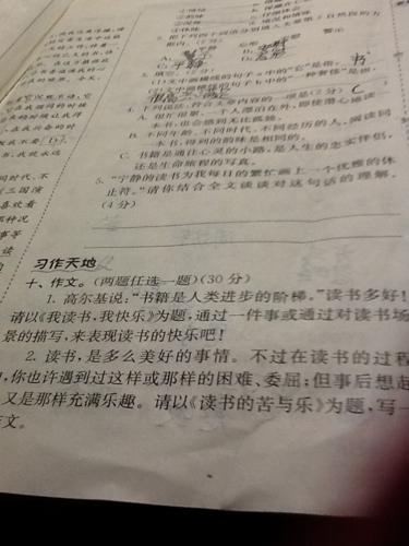 太阳照亮了我的心脏