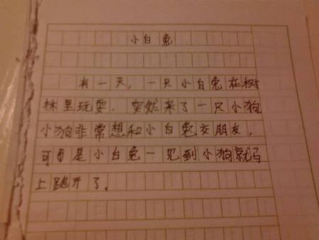 生日作文300字
