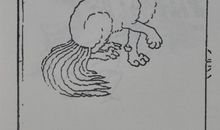 山海经密码读后感