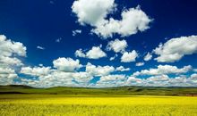 额尔古纳河右岸读后感