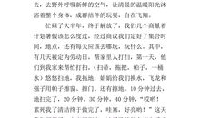 快乐的暑假作文500字