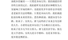 笑猫日记读后感600字