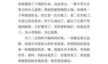 以感动为话题的作文500字