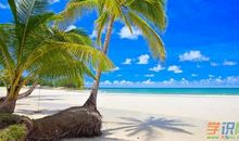 夏天的景色作文700字