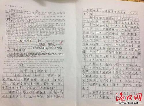 海南岛的组成