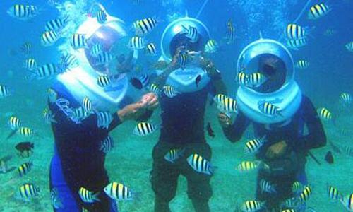 海洋公园组成