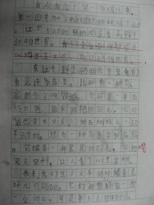 我学会了作文