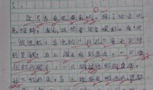 写乌龟的作文600字