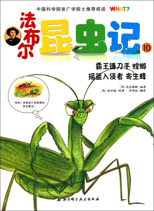 昆虫和螳螂