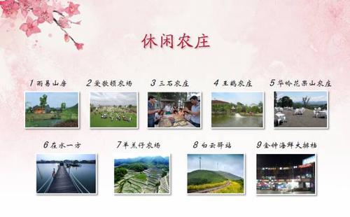 三石场秋季郊游组成