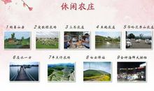 三石农庄秋游作文