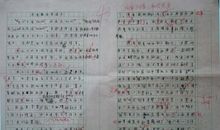 上中学以后作文