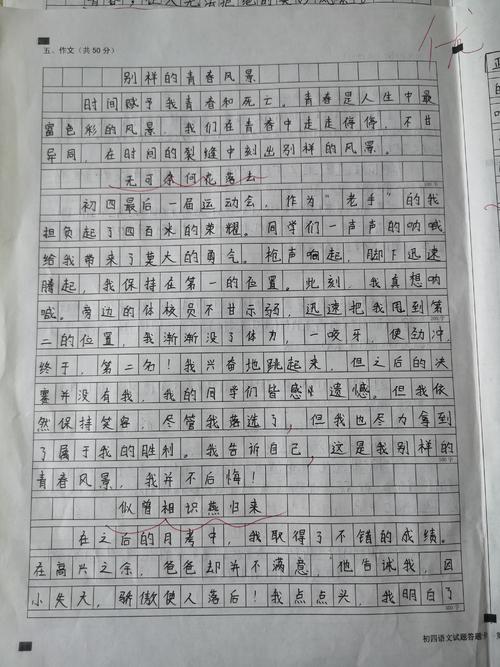 2018山东潍坊高中入学考试全场作文：不同的青年风光（5）