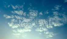 天空飞过一群鱼读后感200字