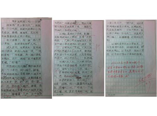 故乡专业作文200字