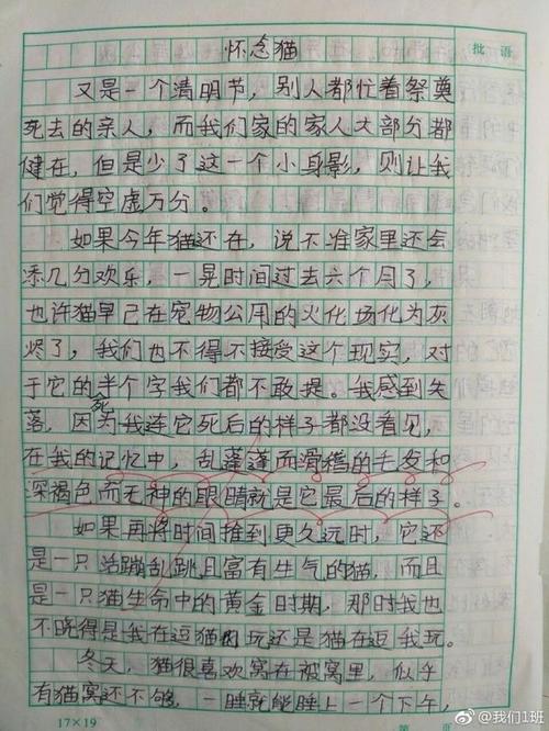 童年小姐组成