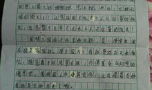 圆明园读后感800字