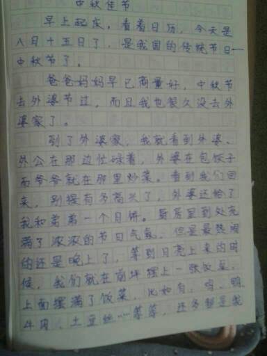 美丽的初中生活构成