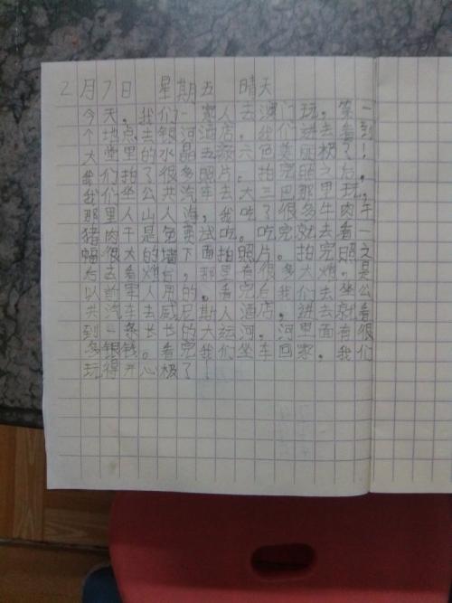 元旦作文200字