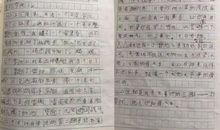 与书一起走过作文