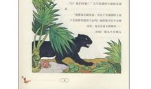 有关动物的读后感