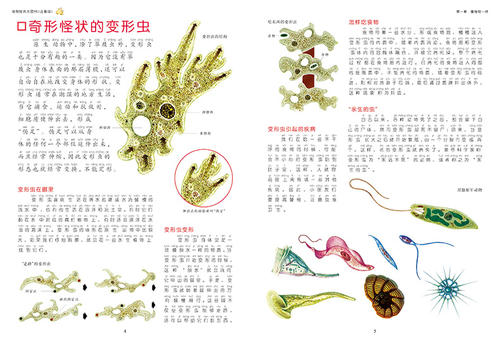 看完《动物世界百科全书》之后