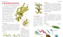 动物世界大百科读后感