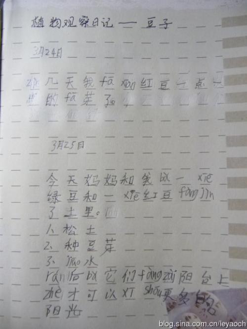 600字写仙人掌