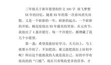 元旦作文300字