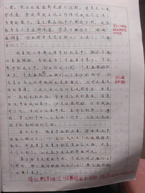 家乡特色日记