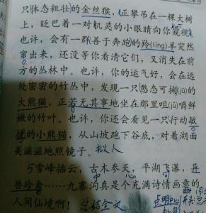 品尝爱情构成的细节