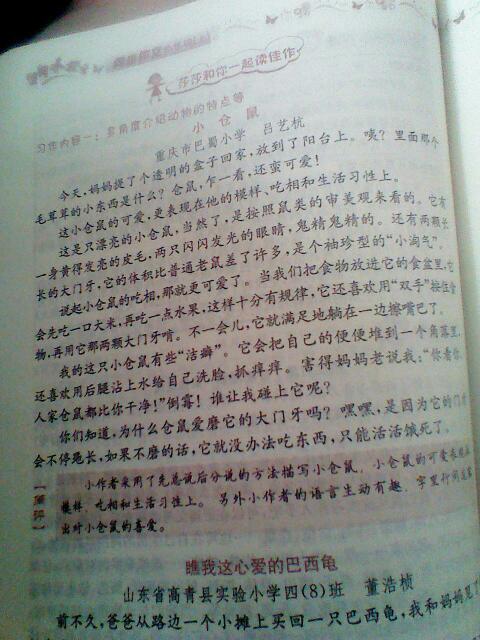 四年级作文小狗