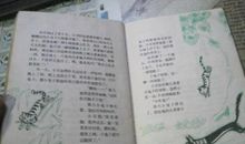 小贝流浪记读后感
