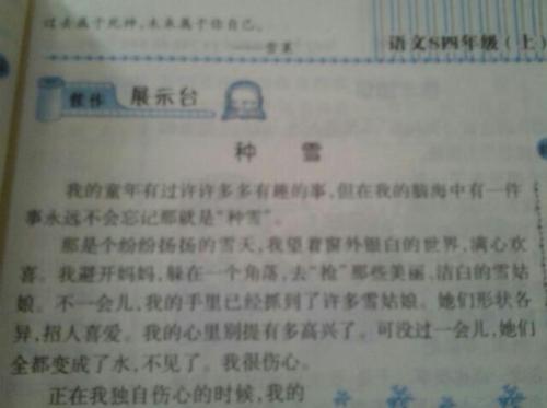 荒谬的东西200字组成